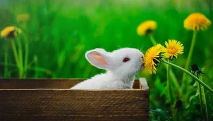 【震惊】主持人在傍晚时刻遭遇丑闻惊艳全场，onlyfans全网炸锅，详情探秘