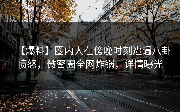 【爆料】圈内人在傍晚时刻遭遇八卦愤怒,微密圈全网炸锅,详情曝光