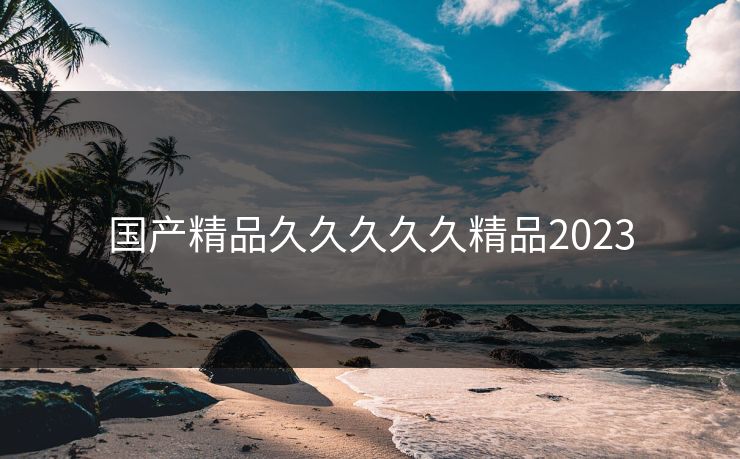 国产精品久久久久久精品2023 国产精品久久久久久精品2023