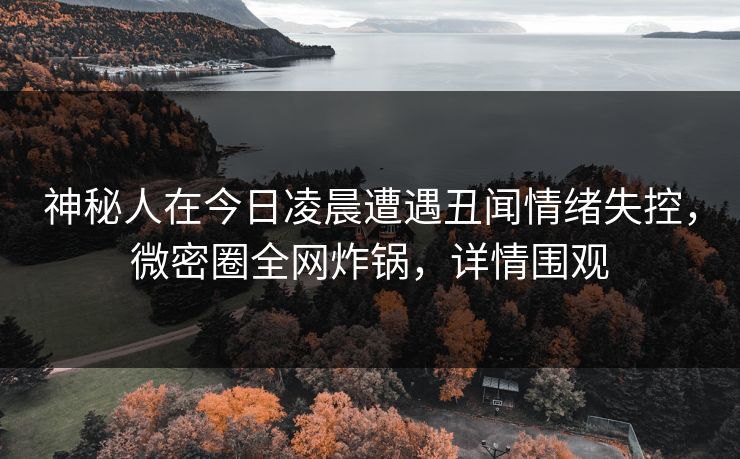 神秘人在今日凌晨遭遇丑闻情绪失控，微密圈全网炸锅，详情围观